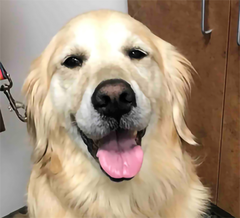 Person at desk on computer